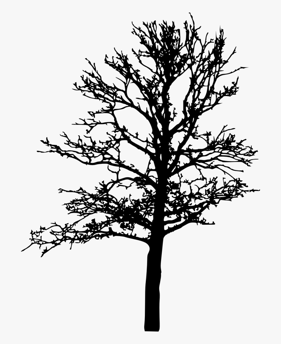 Portable Network Graphics, Transparent Clipart