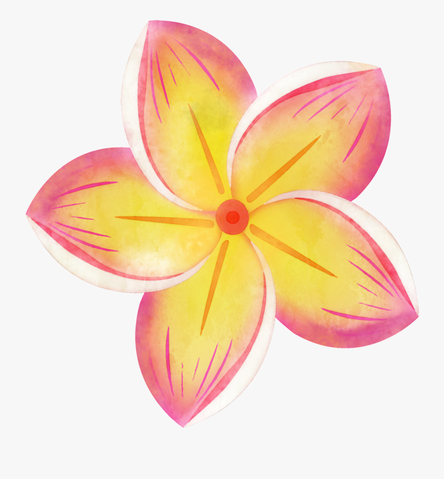 Hand Painted Colorful Plumeria Png Transparent - Tropical Flower Clipart, Transparent Clipart