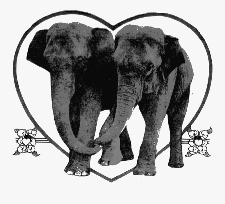 Art Elephant Lover, Transparent Clipart