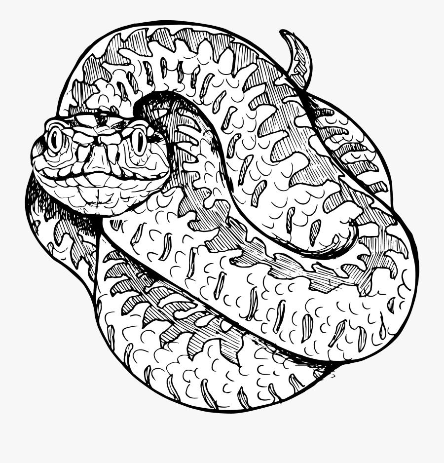 Illustration, Transparent Clipart