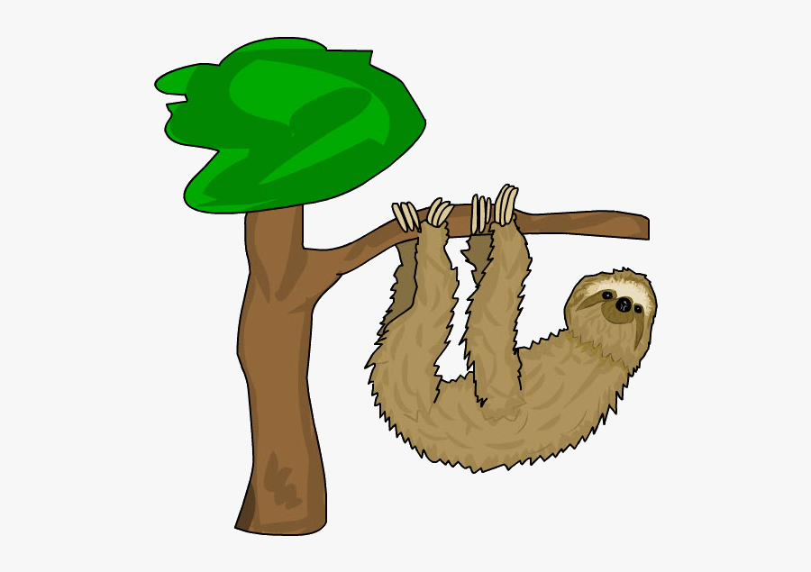 Png Imagenes De Perezosos Clipart , Png Download - Perezoso Png, Transparent Clipart