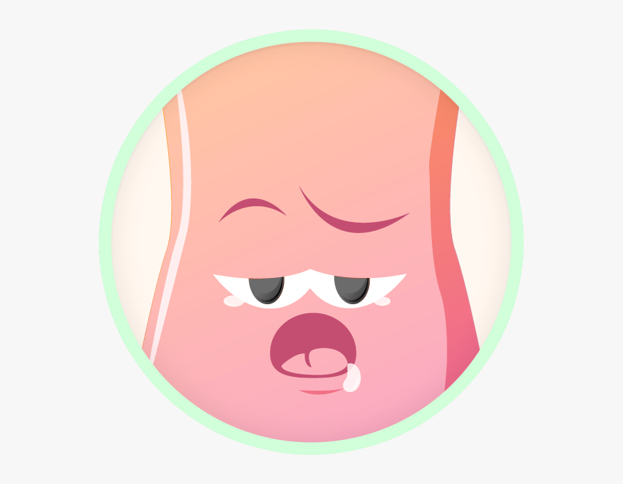 Estomago Perezoso Clipart , Png Download - Cartoon, Transparent Clipart