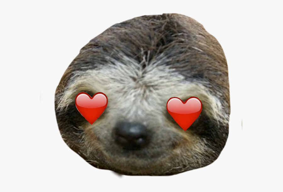 #inlove #perezoso - Sloth, Transparent Clipart