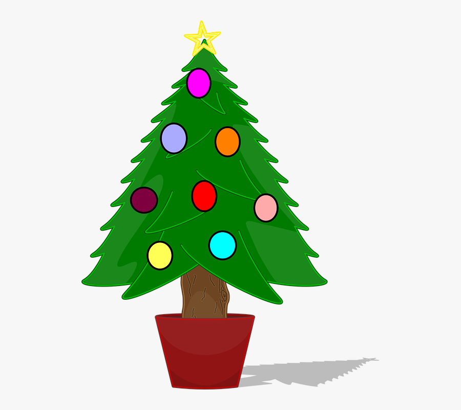 Christmas Tree, Christmas Baubles, Potted Tree - Christmas Tree Not Decorated, Transparent Clipart
