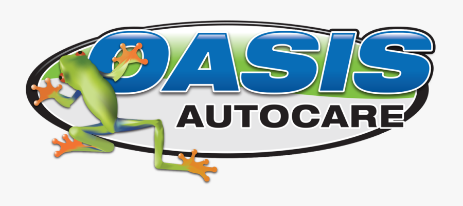 Frog, Transparent Clipart