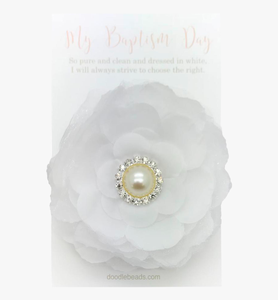 Rose, Transparent Clipart