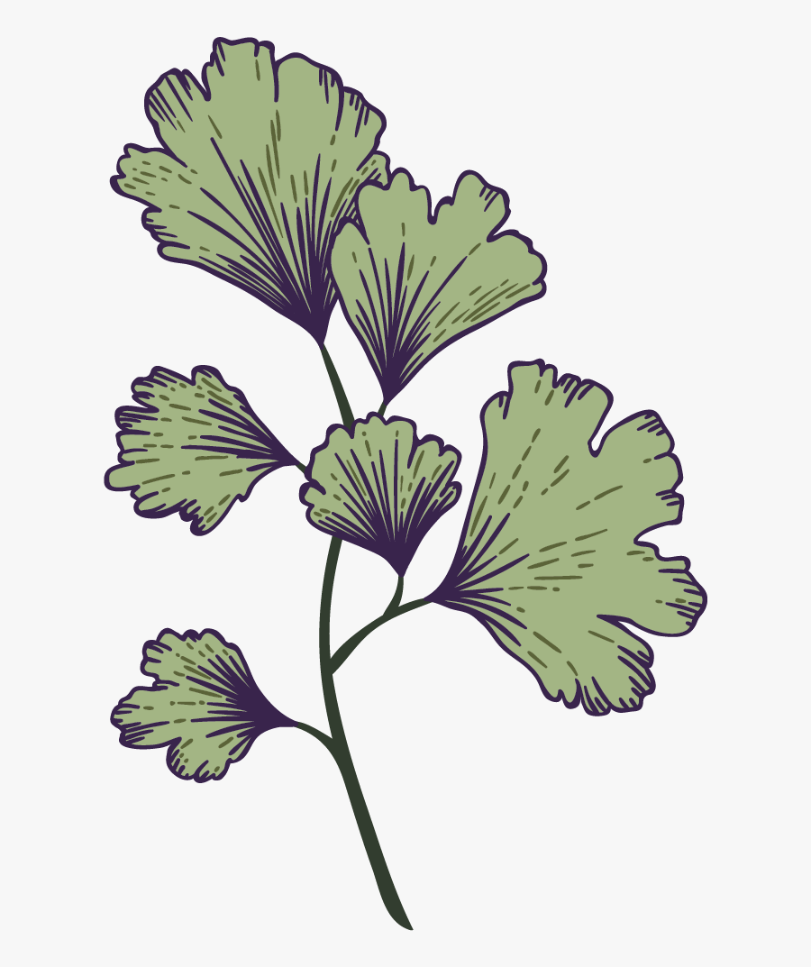 Graficos-04 - Buttercup, Transparent Clipart