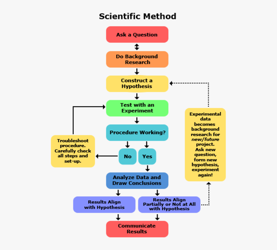 Methodology Of Scientific Research, Transparent Clipart
