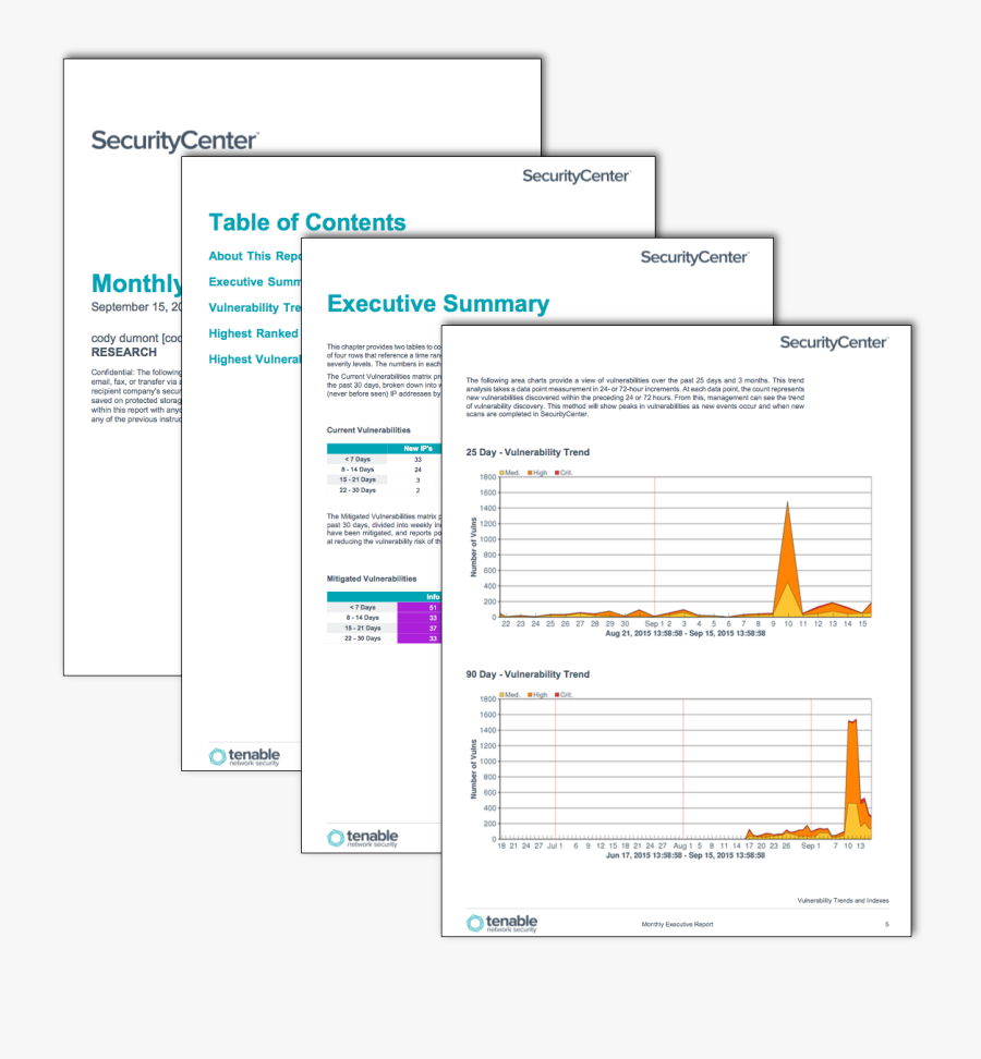 Clip Art Monthly Executive Sc Tenable - Monthly Security Report Sample, Transparent Clipart