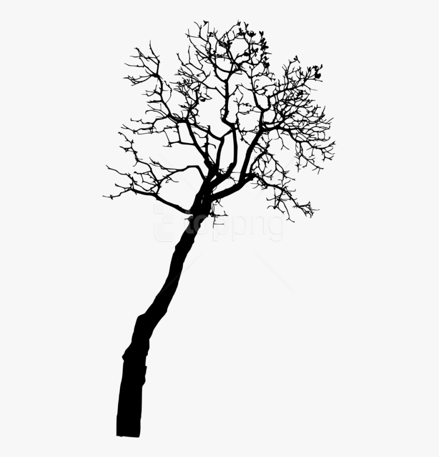 Black And White Flower Tree Photography, Transparent Clipart