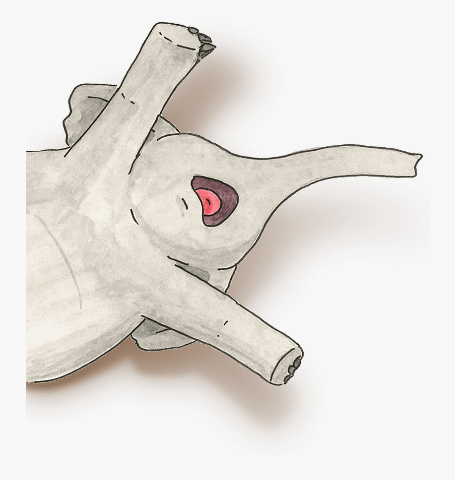 Sketch, Transparent Clipart