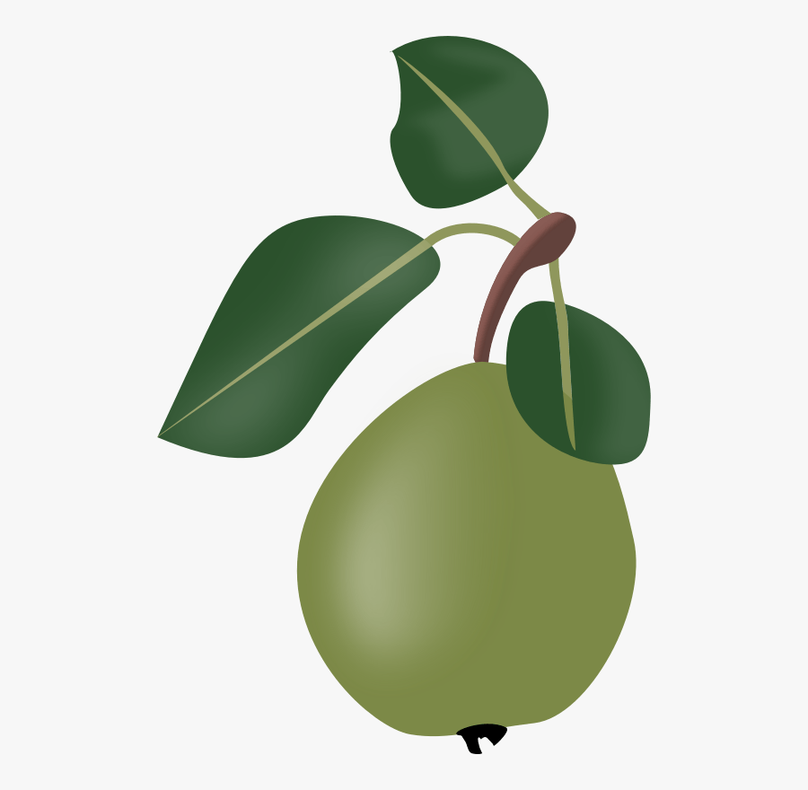 Plant,leaf,food - Stew, Transparent Clipart