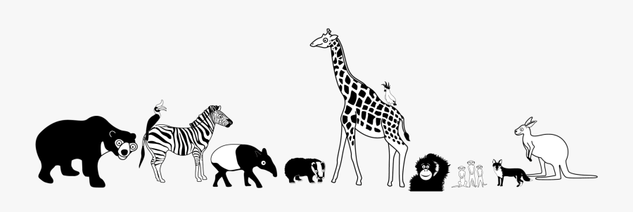 Wildlife Conservation Flash Card Banner, Transparent Clipart