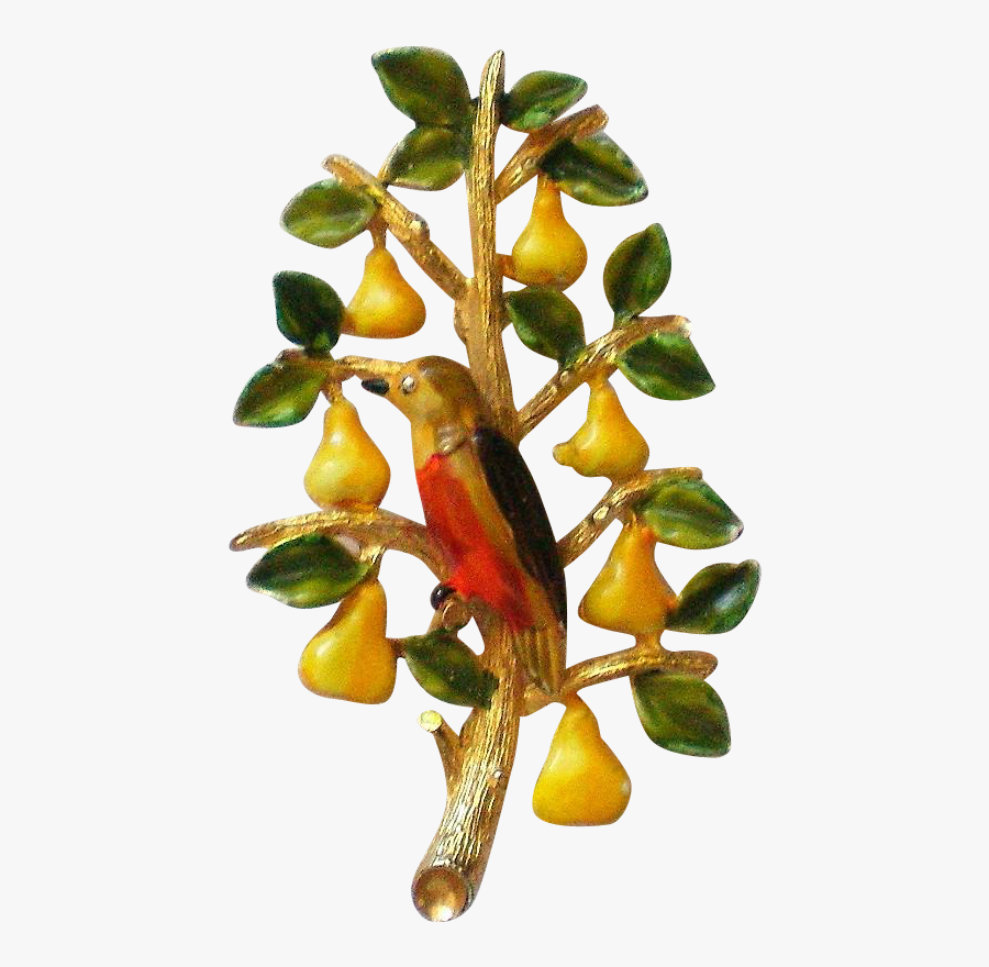 Transparent Pear Tree Png - Western Tanager, Transparent Clipart