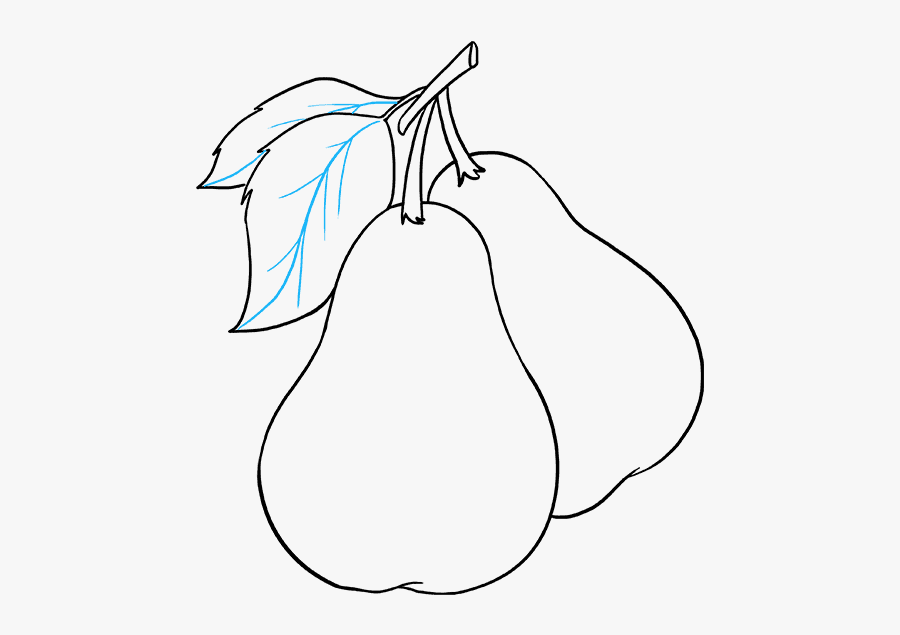 How To Draw Pears - Pears Drawing, Transparent Clipart