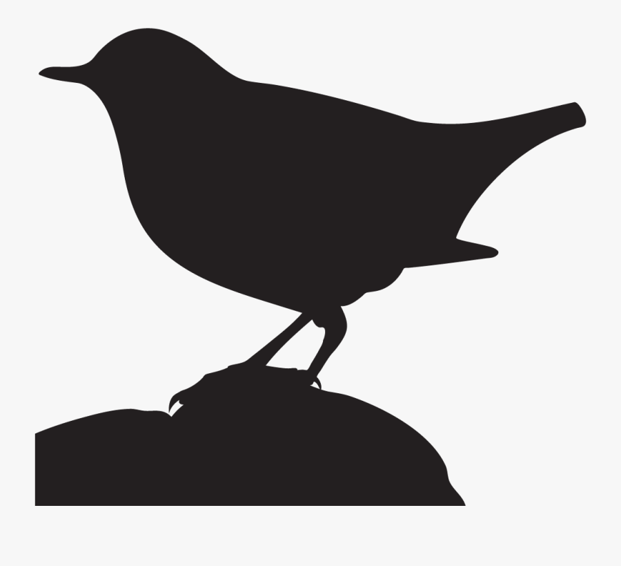 All About Birds Clipart , Png Download, Transparent Clipart