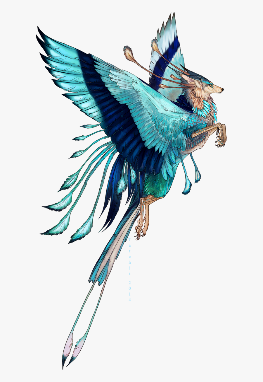 Drawing Phoenix Indian - Indian Roller Bird Drawing, Transparent Clipart