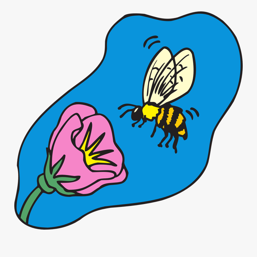 Bee, Flying, Flower, Insect, Pollen, Fly - Bee On A Flower Clipart, Transparent Clipart