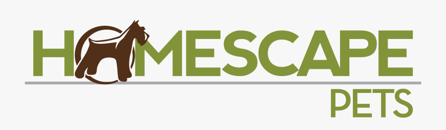 Graphic Design, Transparent Clipart