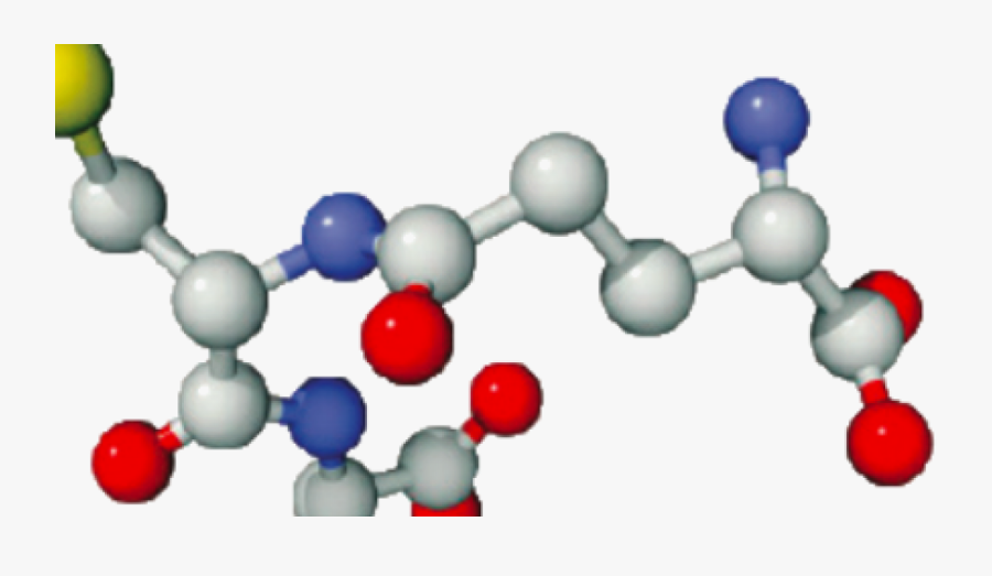 Glutathione Phân Tử, Transparent Clipart