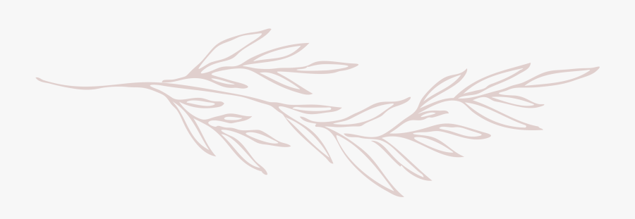 Drawing, Transparent Clipart