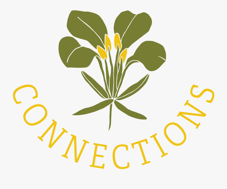 Flower, Transparent Clipart