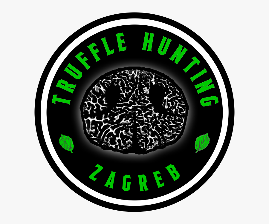 Circle, Transparent Clipart