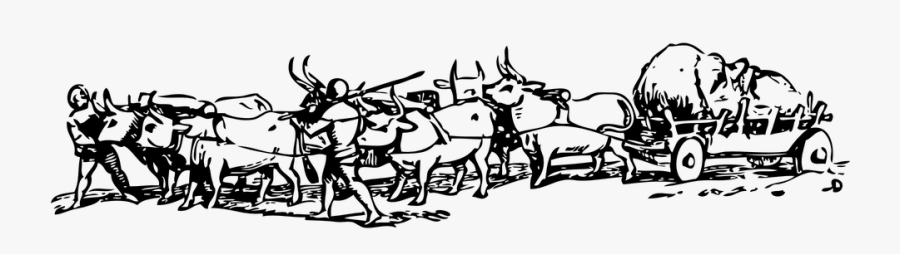 Pioneer Clipart Bullock Cart - Bull Cart Png, Transparent Clipart