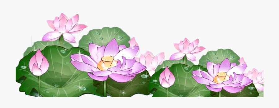 Lotus Clipart Hand Drawn - Lotus Water Flower Png, Transparent Clipart
