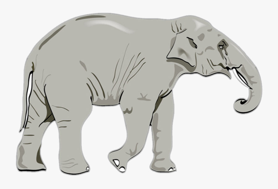 Elephant Vector Free, Transparent Clipart