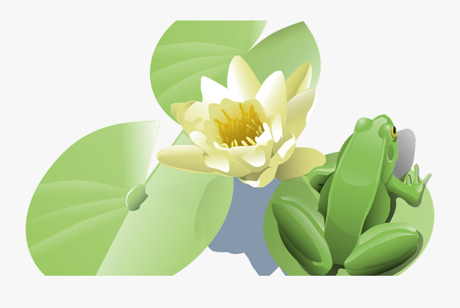 Transparent Lotus Vector Png - Lily Pad Clip Art, Transparent Clipart
