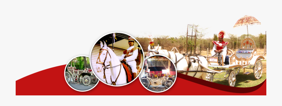 Wedding Chariot And Mare Services - Horse, Transparent Clipart