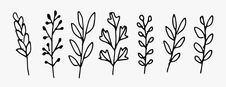 Floral Design, Transparent Clipart