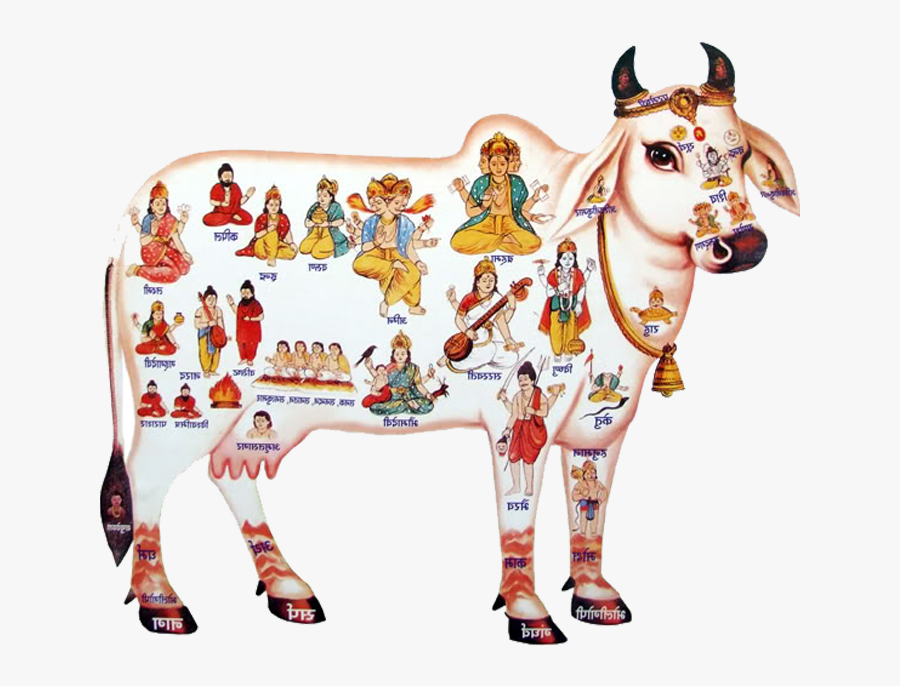 Avendor Counters - Krishna With Cow Png, Transparent Clipart