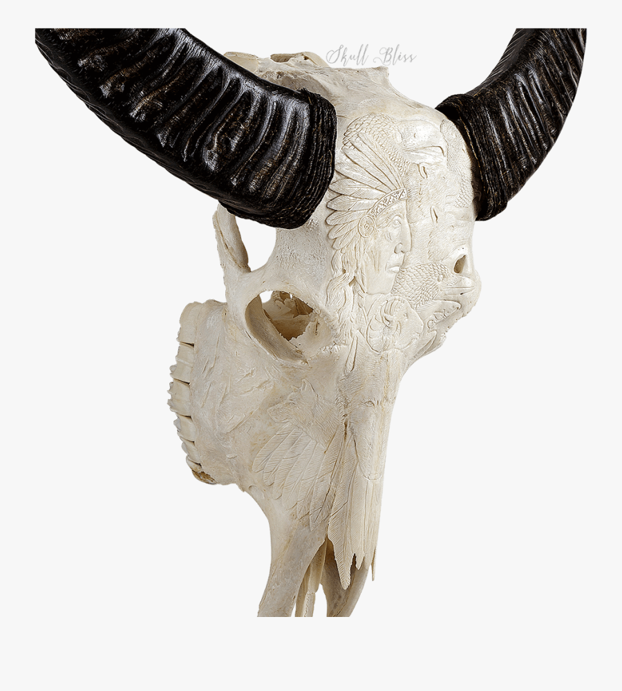 Indian Carving Buffalo - Skull, Transparent Clipart