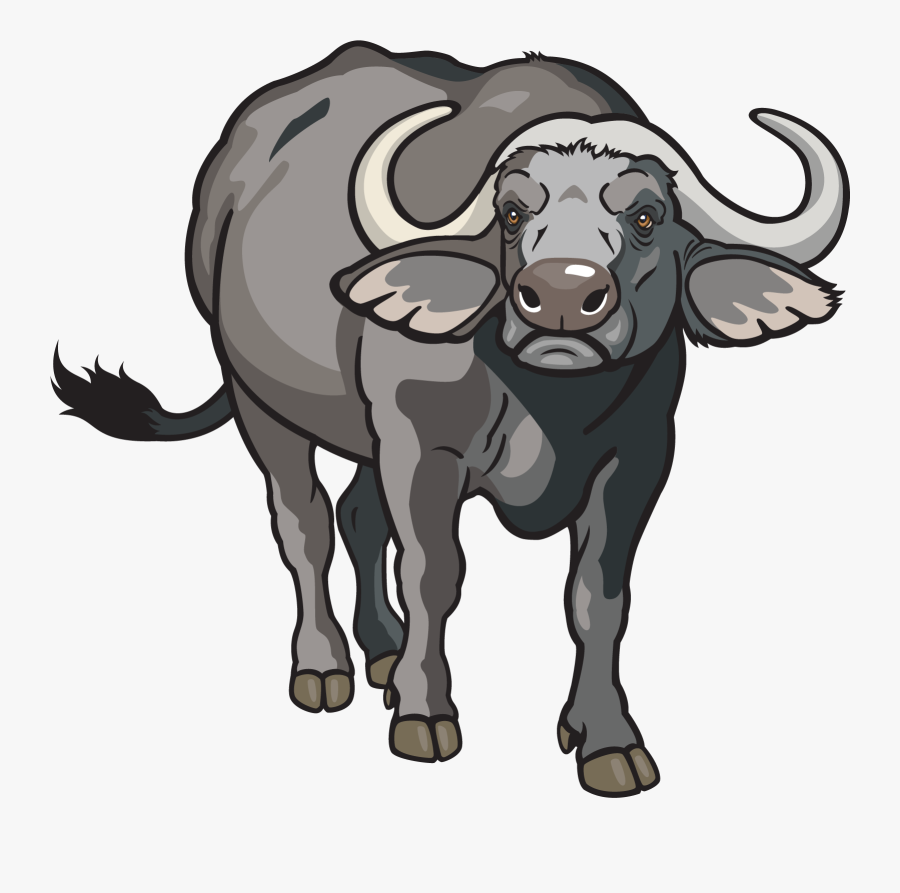Buffalo Clipart, Transparent Clipart