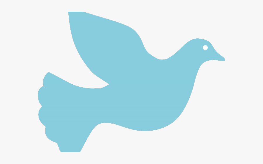 Dove, Transparent Clipart