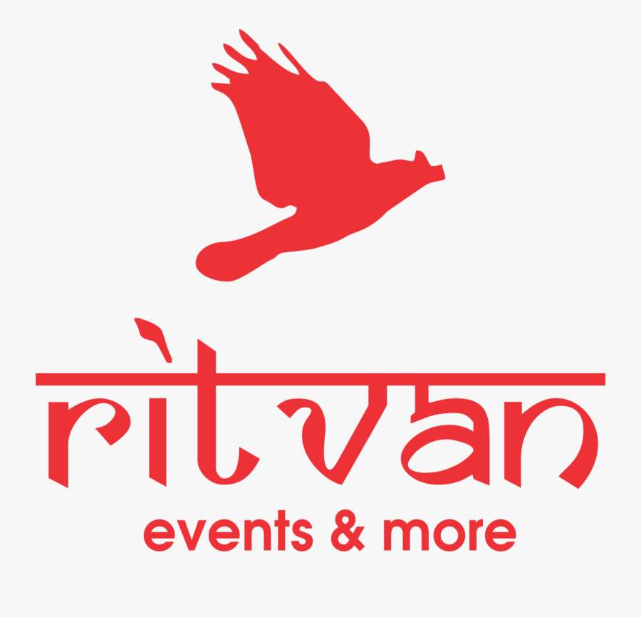 Hawk, Transparent Clipart