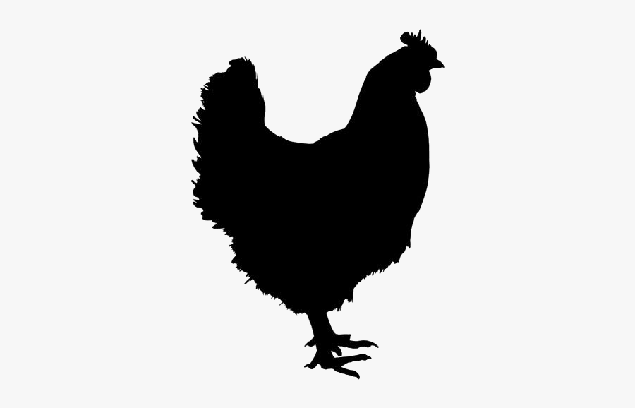 Chicken Png Transparent Images - Chicken Silhouette, Transparent Clipart