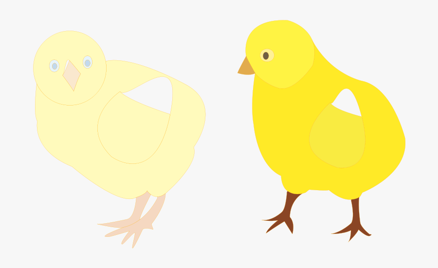 Free Chicks Figure Color - Pigeons And Doves, Transparent Clipart