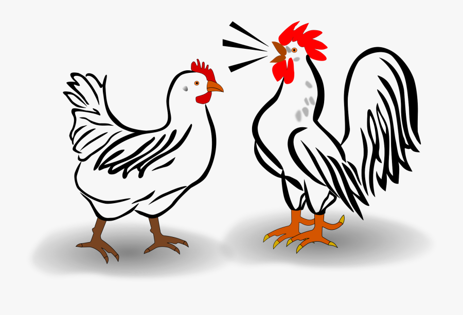 32+ Sketsa Kolase Ayam - golek gambar