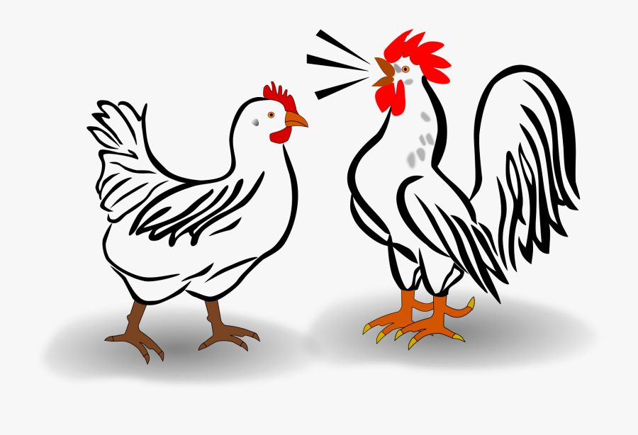 Log In - Sketsa Ayam Jantan Berkokok , Free Transparent Clipart