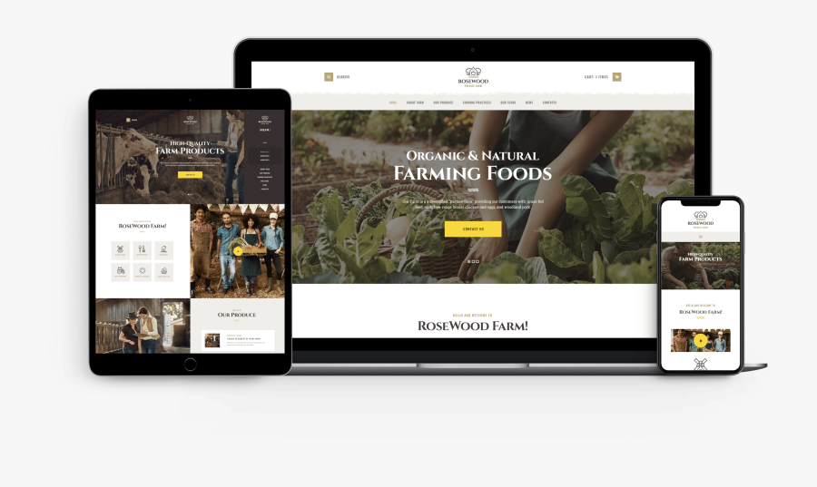 Broiler Chicken Clipart, Transparent Clipart