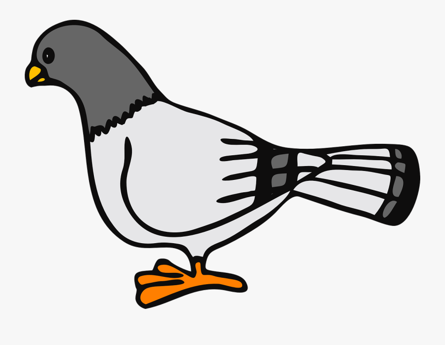 Artwork,line,wing - Pigeon Clip Art, Transparent Clipart