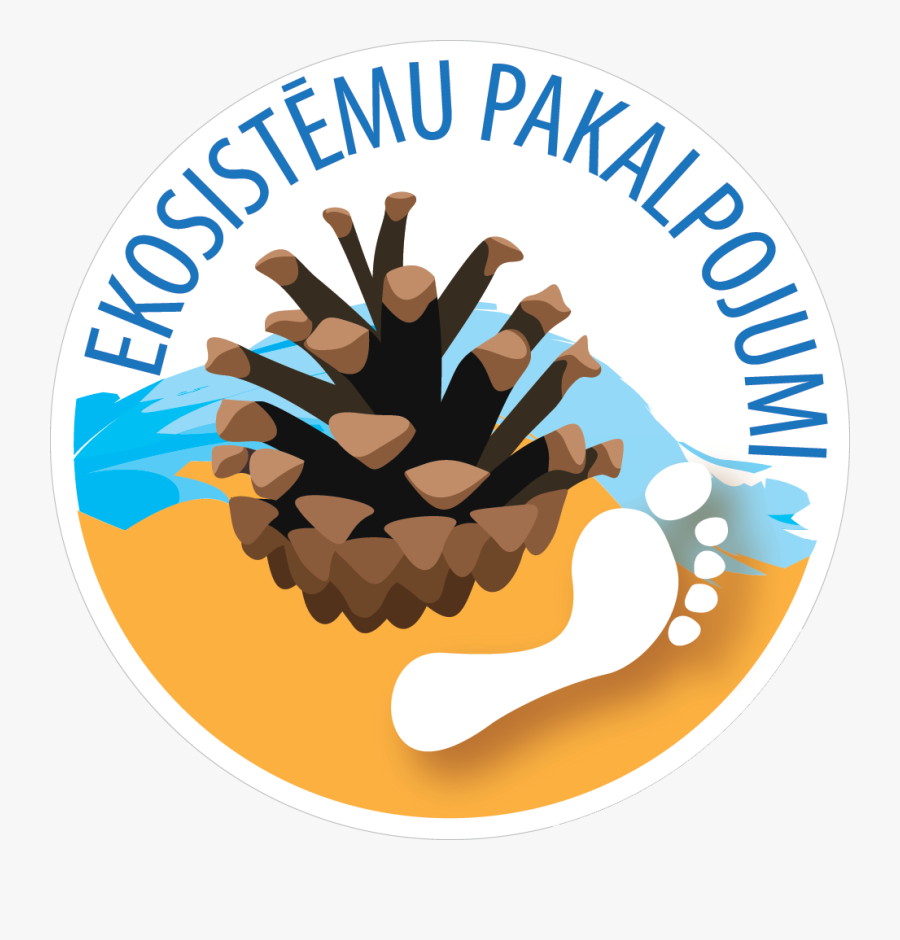 Cupcake, Transparent Clipart