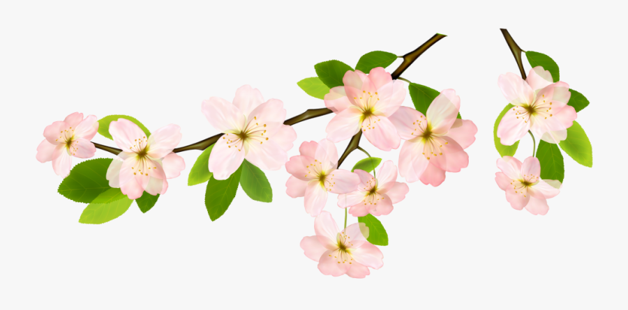 Spring Branch Png Clipart Picture - Spring Flower Clipart Transparent Background, Transparent Clipart