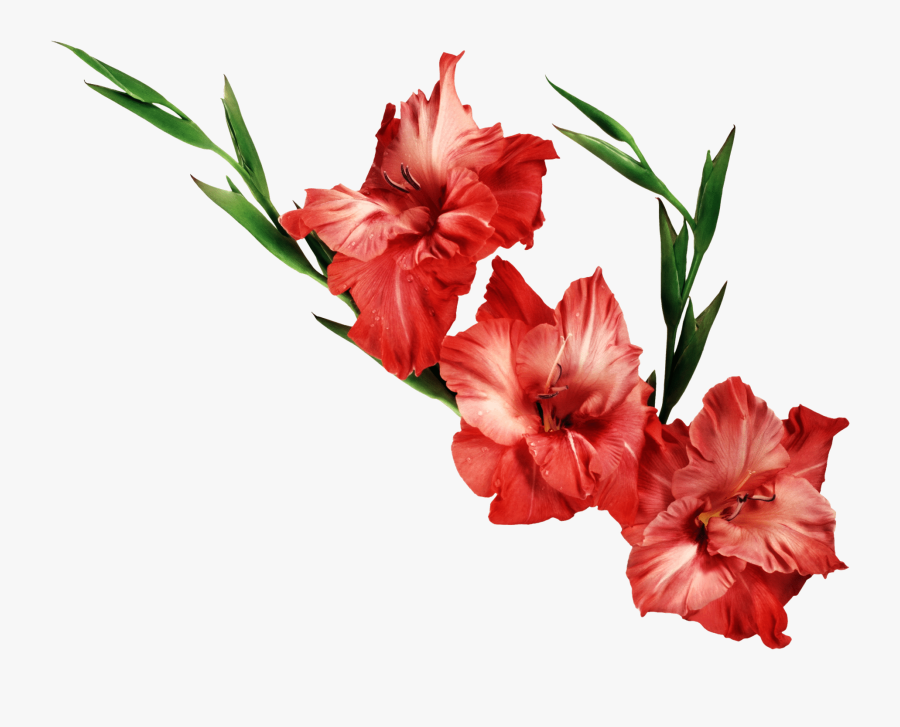 Goodbye August Hello September Gif, Transparent Clipart