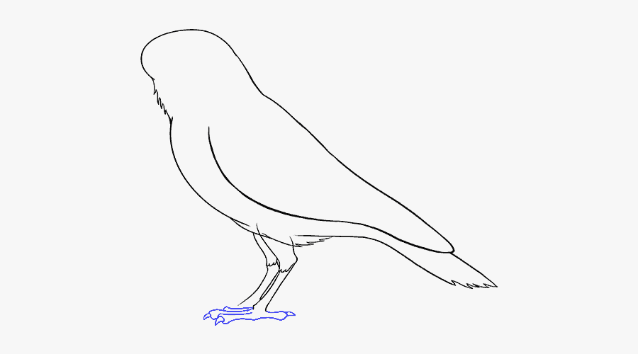 How To Draw Raven - Kite, Transparent Clipart
