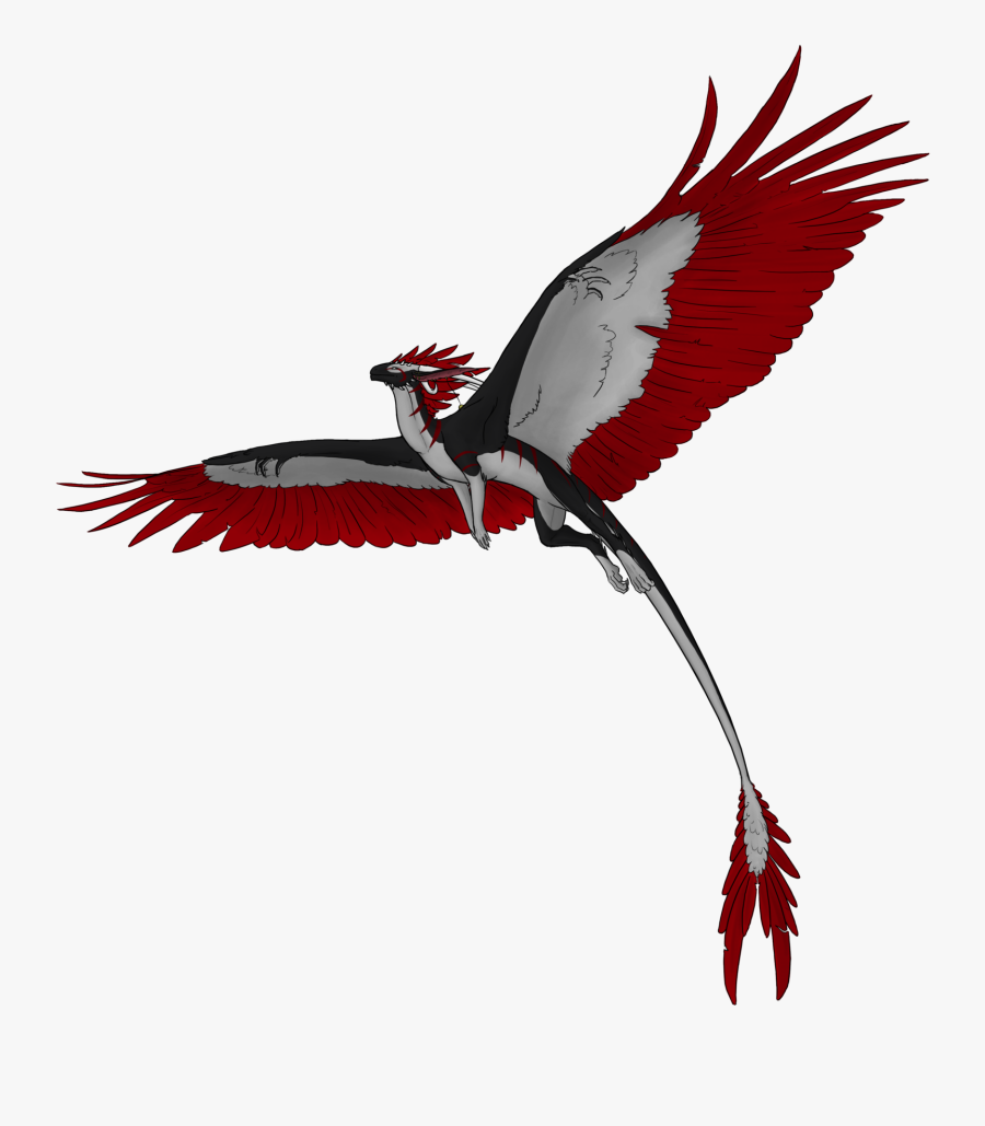 Flying Bird Png Mart - Transparent Fly Bird Png, Transparent Clipart