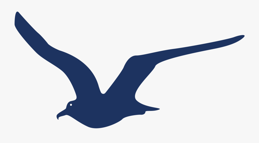 Bird Fleas Png Download - Seabird, Transparent Clipart